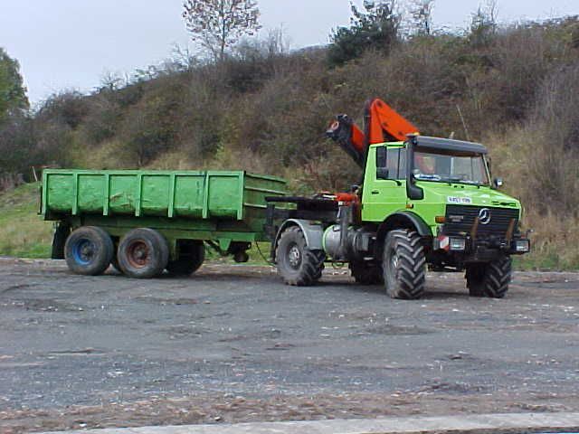 Another Recent Visitor!