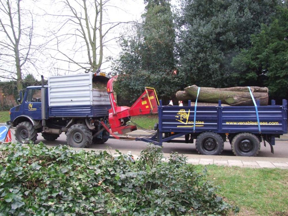 The Venerable Venables!