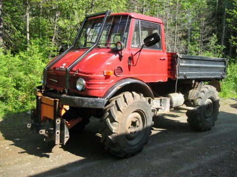 Charlie's Mogs in the Usa (3)