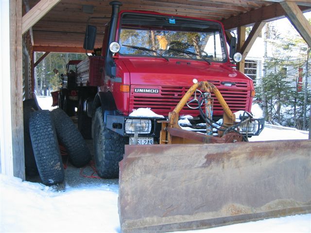 Charlie's Mogs in the Usa (1)