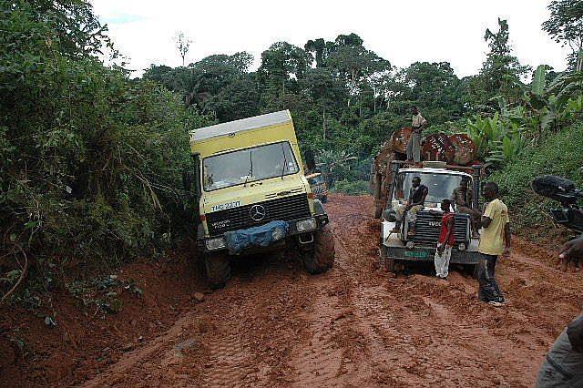 Big Yellow Mog