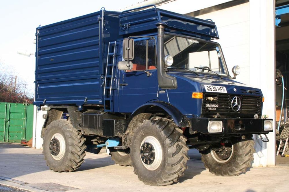 Yet Another Mog for Tree Surgery!