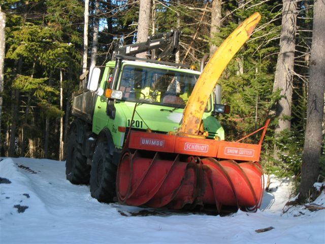 Charlie's Mogs in the Usa (2)