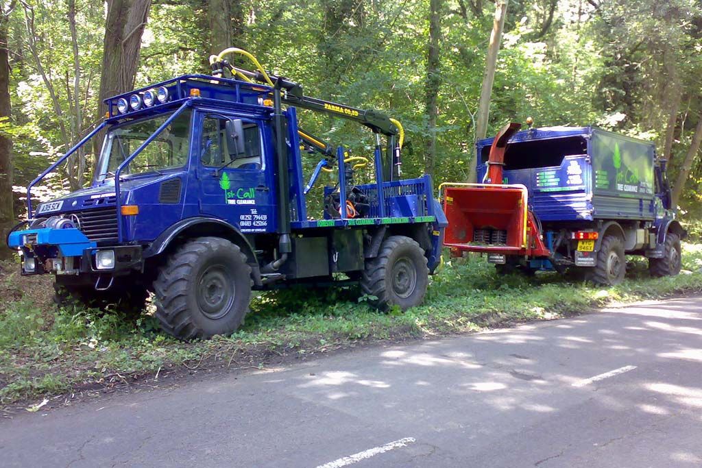 What a Lovely Pair!