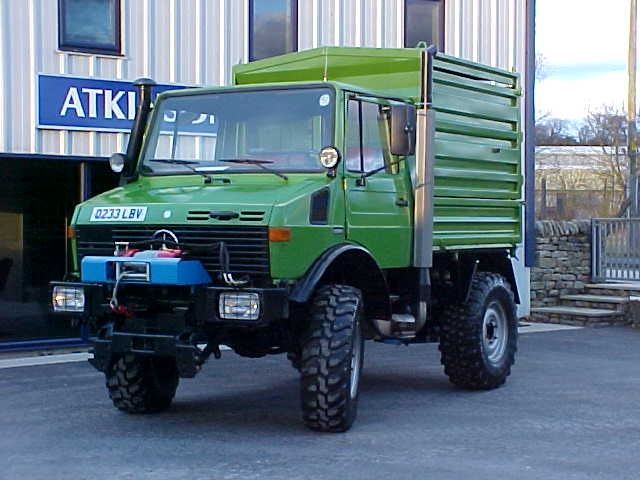 Another Mog for Tree Surgery