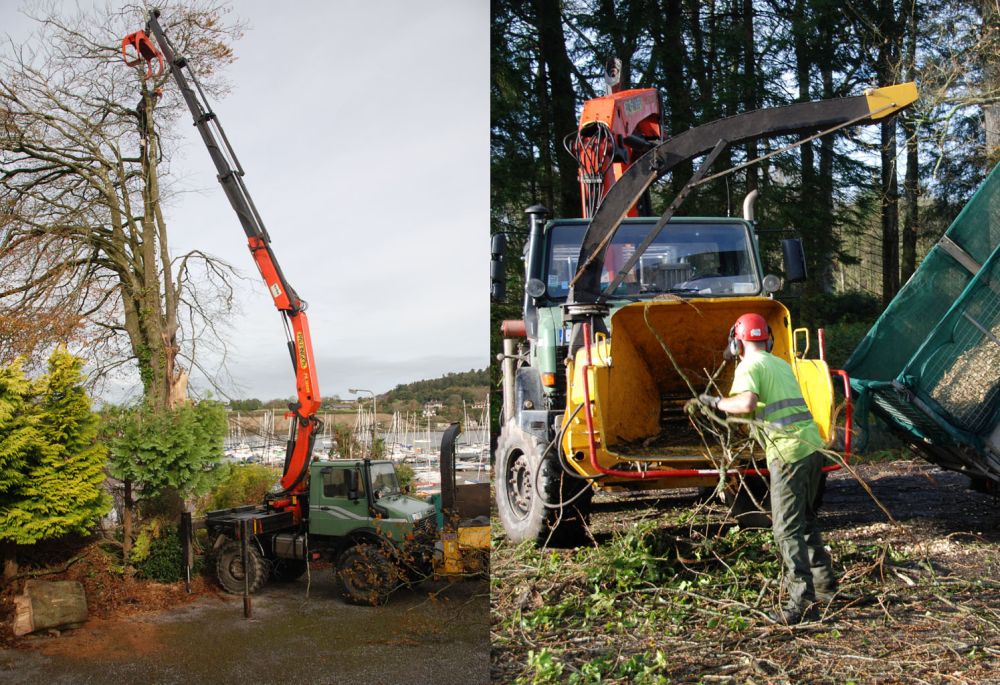 Lifting, Chipping, Towing...there's Nothing a Mog