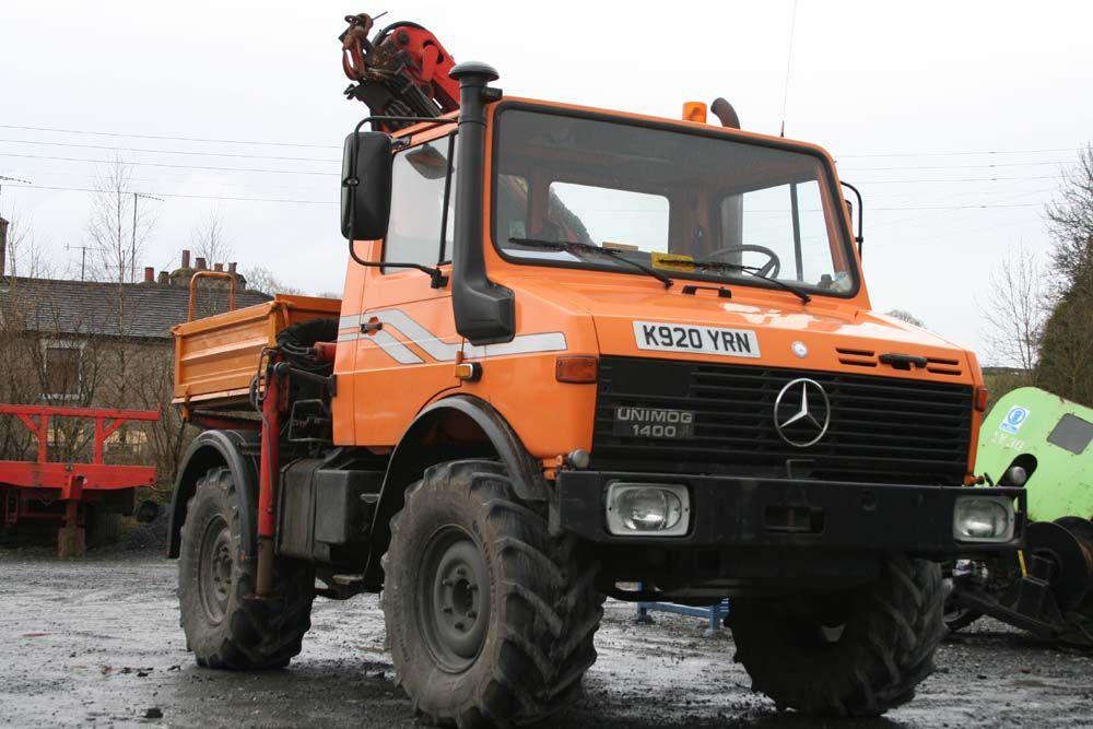 a Tasty Looking Mog!