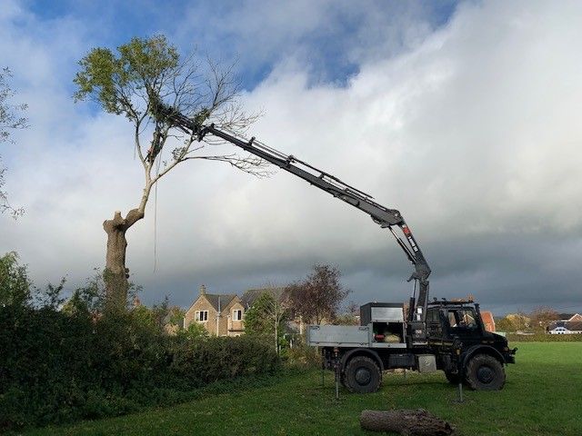 ACER TREE SURGEONS U5000 IN ACTION