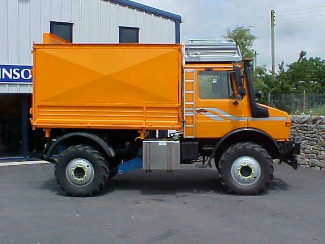 Another Mog for Tree Surgery